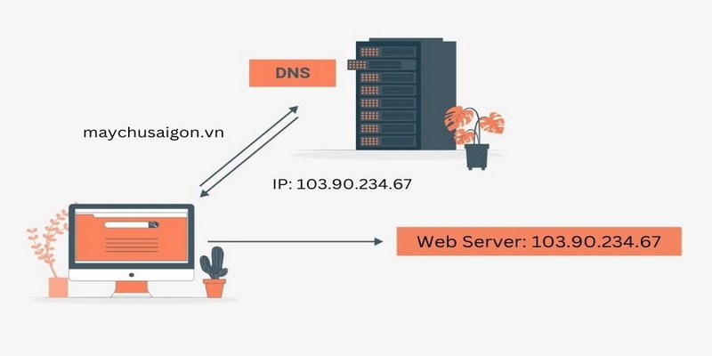 Sử dụng DNS để truy cập web W88